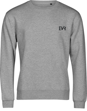 Velvet Sweatshirt Light Grey