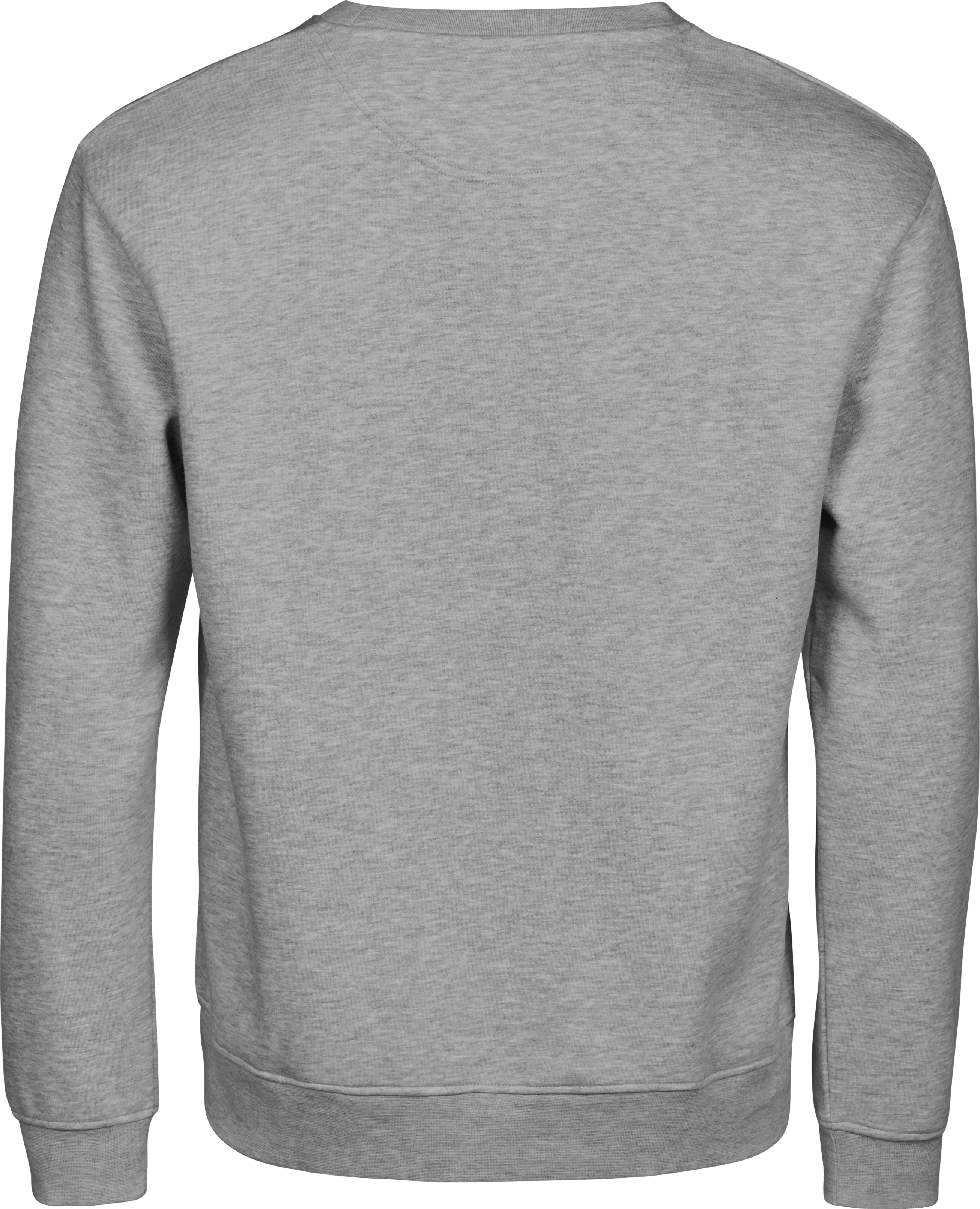 Velvet Sweatshirt Light Grey